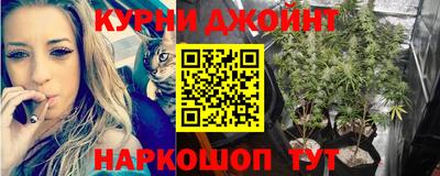 эйфоретик Можга