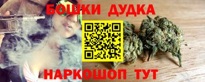 индика Можайск