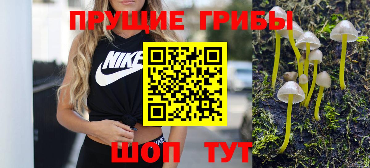 Канск  Псилоцибиновые грибы Psilocybine cubensis  Галлюциногенные грибы Magic Shrooms  Вход с VPN 