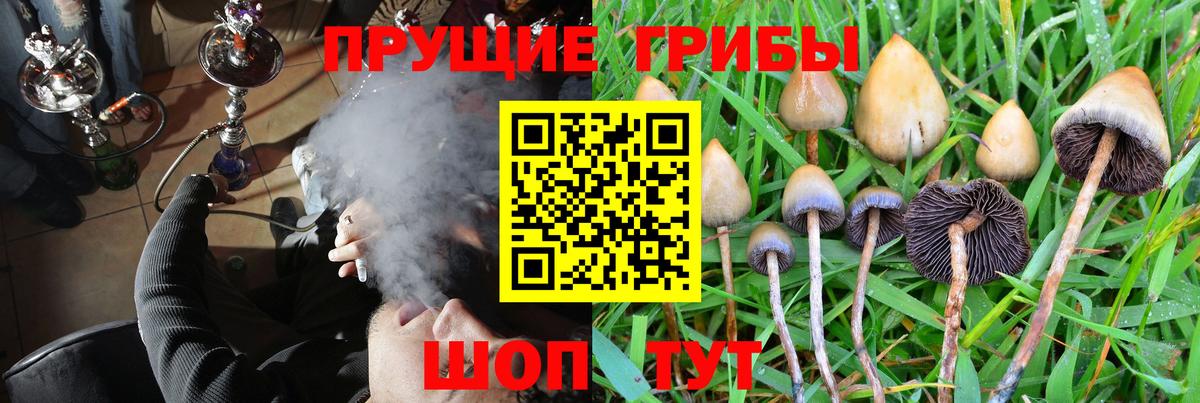 Псилоцибиновые грибы MAGIC MUSHROOMS Канск